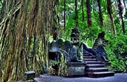 Ubud Monkey Forest