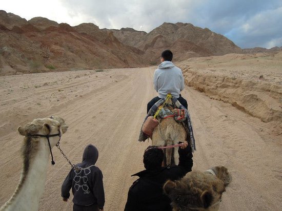 Bedouin Dinner Tour Dahab