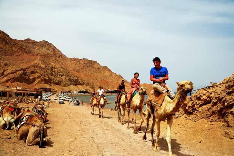 Bedouin Dinner Tour  Dahab 