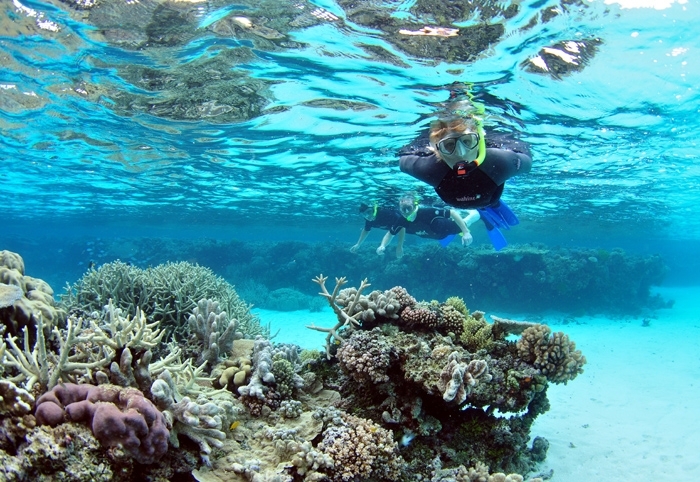 Blue Hole Snorkeling Trips