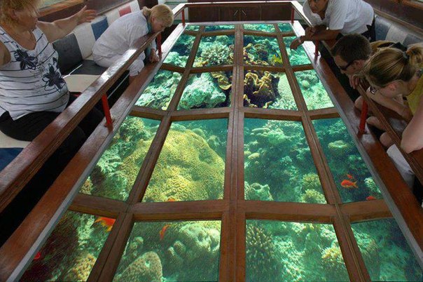 Glass bottom boat Tour Hurghada