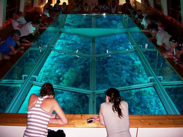 Glass bottom boat Tour Hurghada