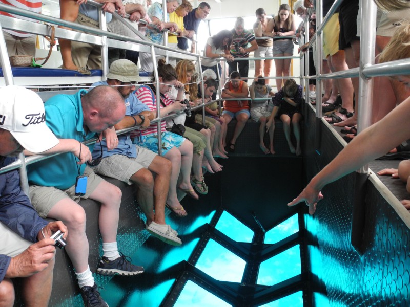 Glass bottom boat Tour Sharm