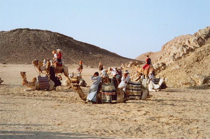 Safari Tour Hurghada