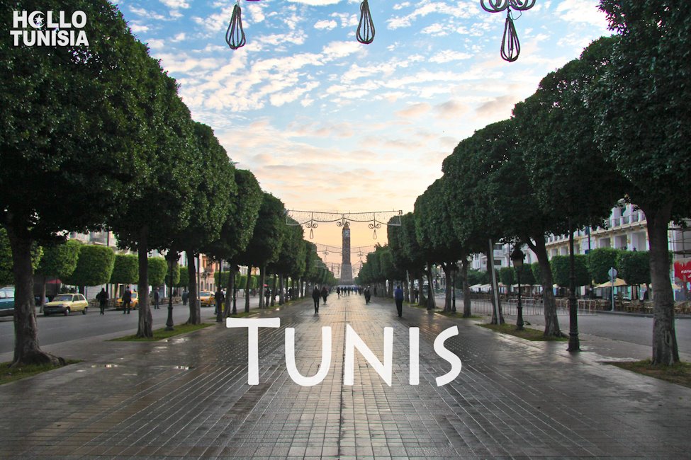 flights to Tunis